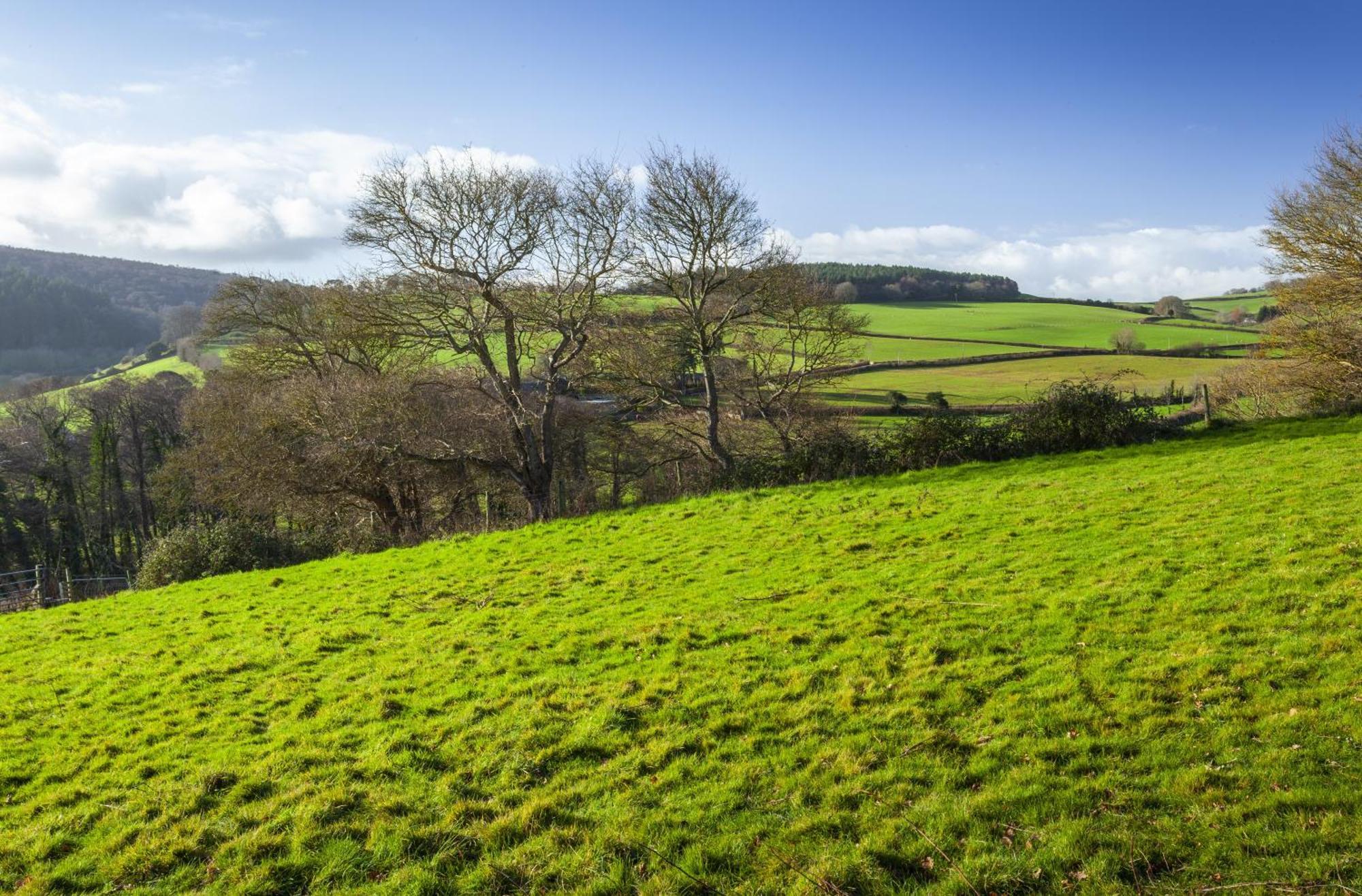 The Garden Studio Woodcombe Minehead Exterior photo